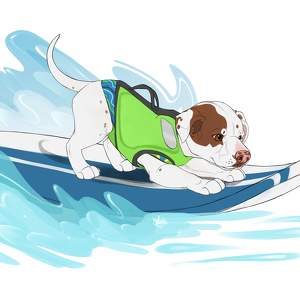 Fundraising Page: Faith The Surfing Pitbull