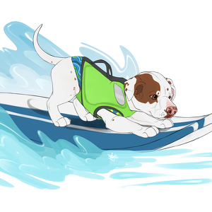 Faith The Surfing Pitbull